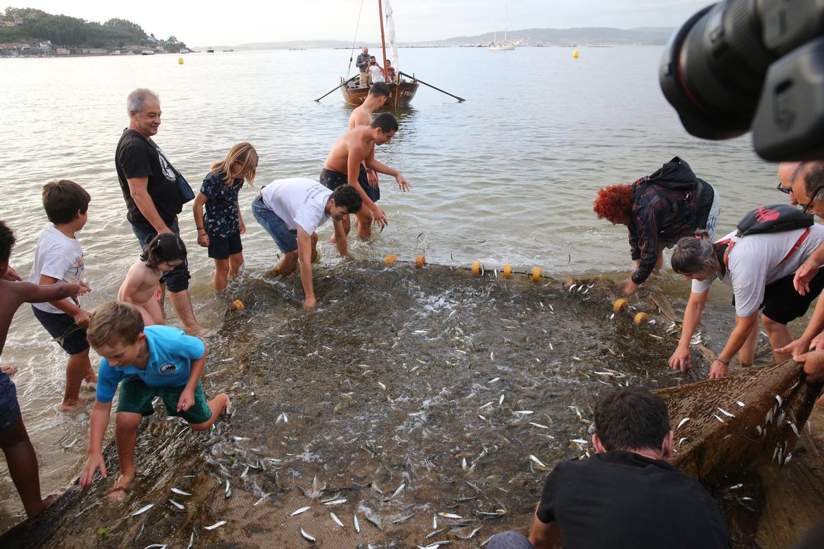 Un momento de la recogida de la rapeta en la playa de Banda do Río.
