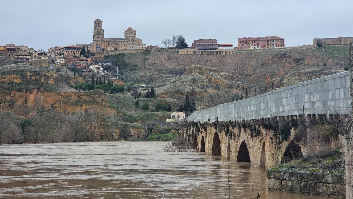 GALERÍA | La crecida del río Duero anega algunas zonas de Toro
