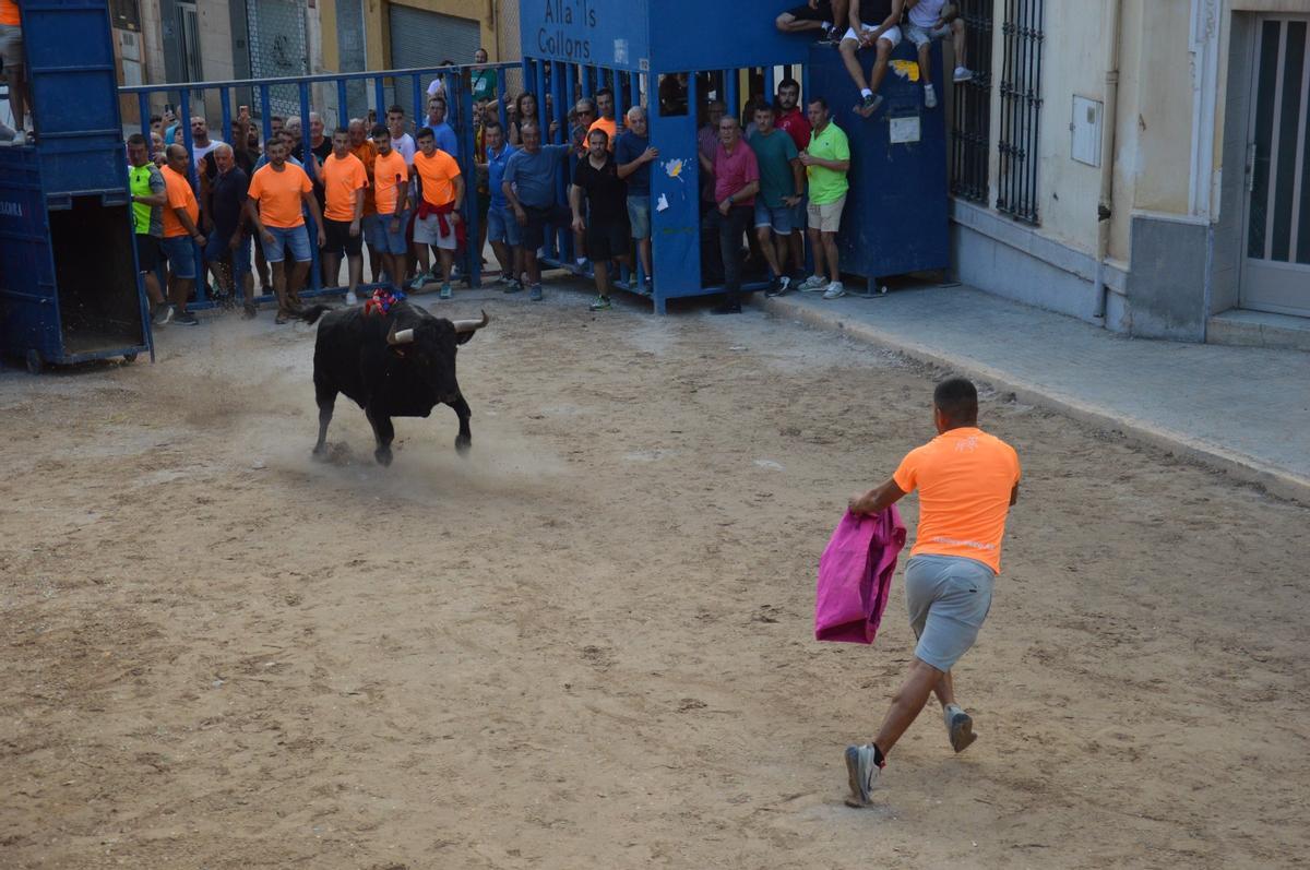 Segundo toro de la tarde.