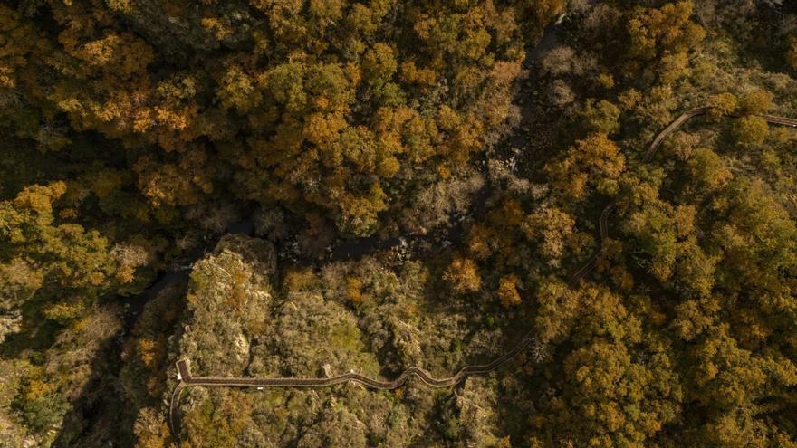 La Ribeira Sacra, a vista de dron. |  Brais Lorenzo