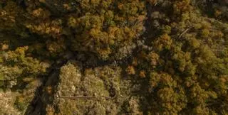 La Ribeira Sacra afronta el puente de la Constitución con un 70% de ocupación
