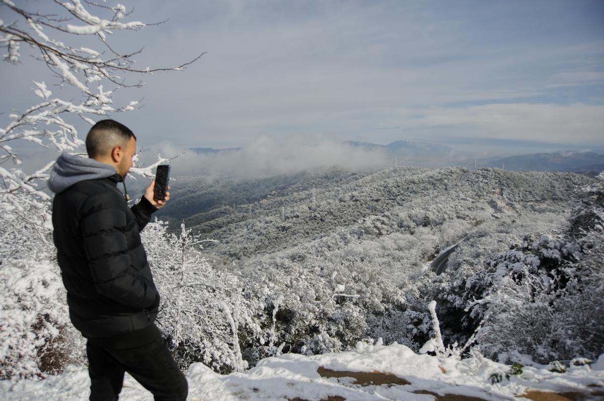 La nieve llega a Barcelona: Collserola, cubierta de blanco