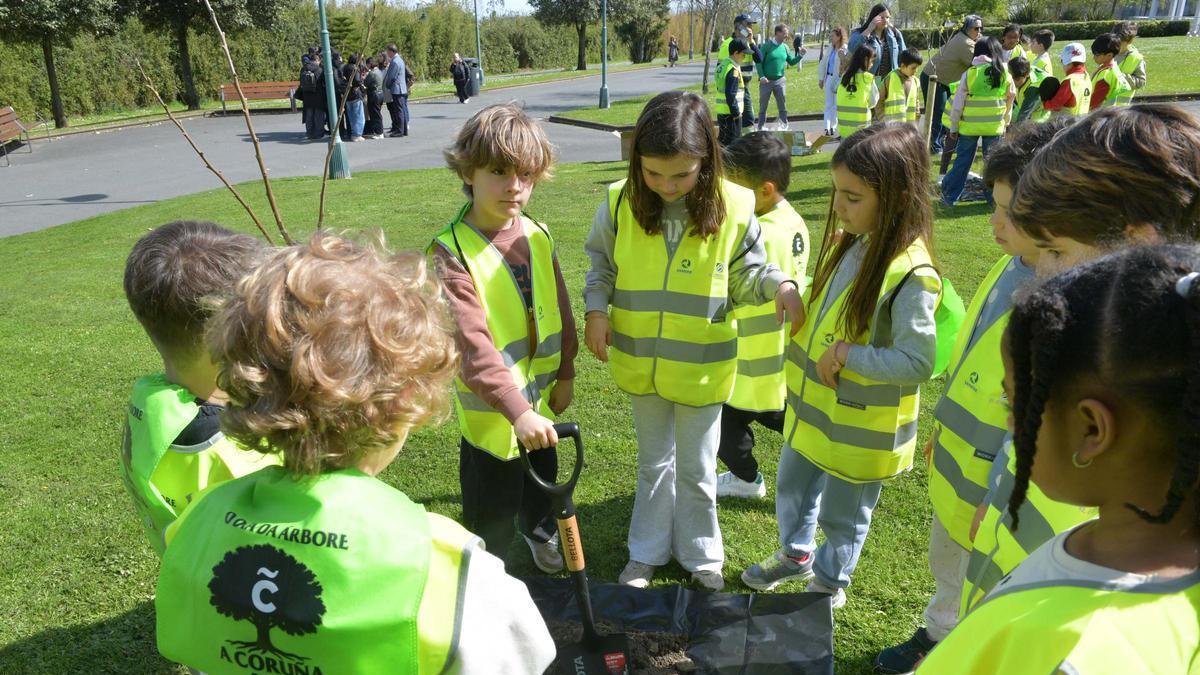 Escolares de A Coruña celebran el Día Mundial del Árbol