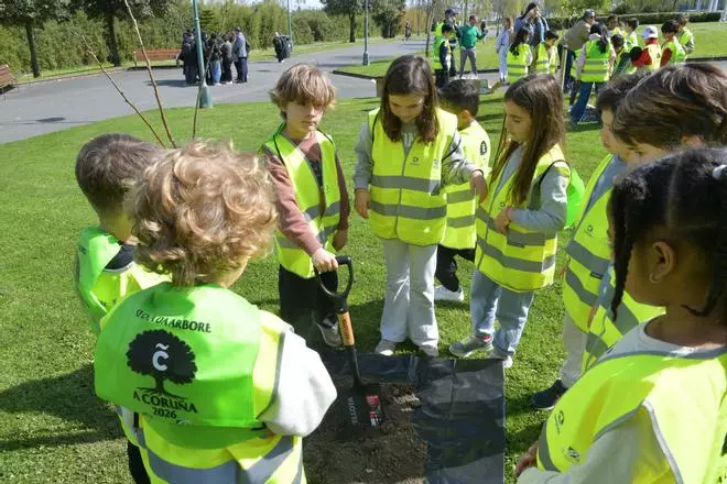 Escolares de A Coruña celebran el Día Mundial del Árbol