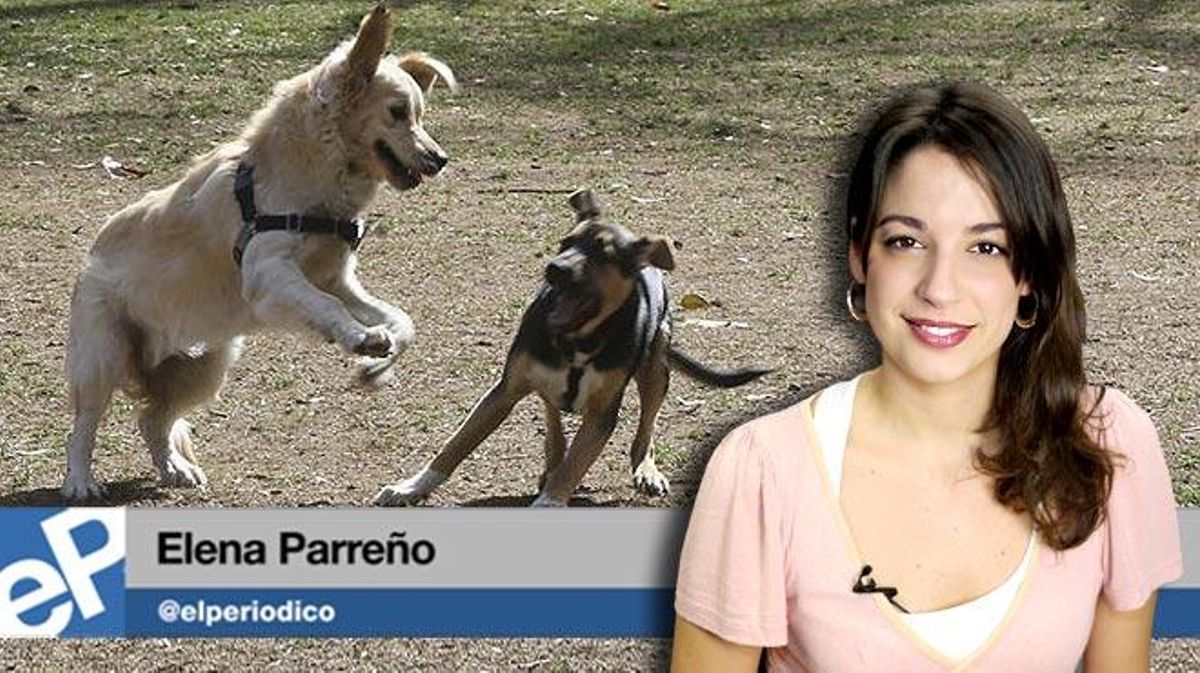 LInformatiu del 5 de març
