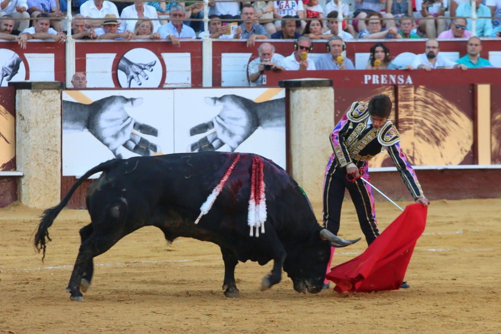 Toros | Corrida Picassiana de la Feria de Málaga