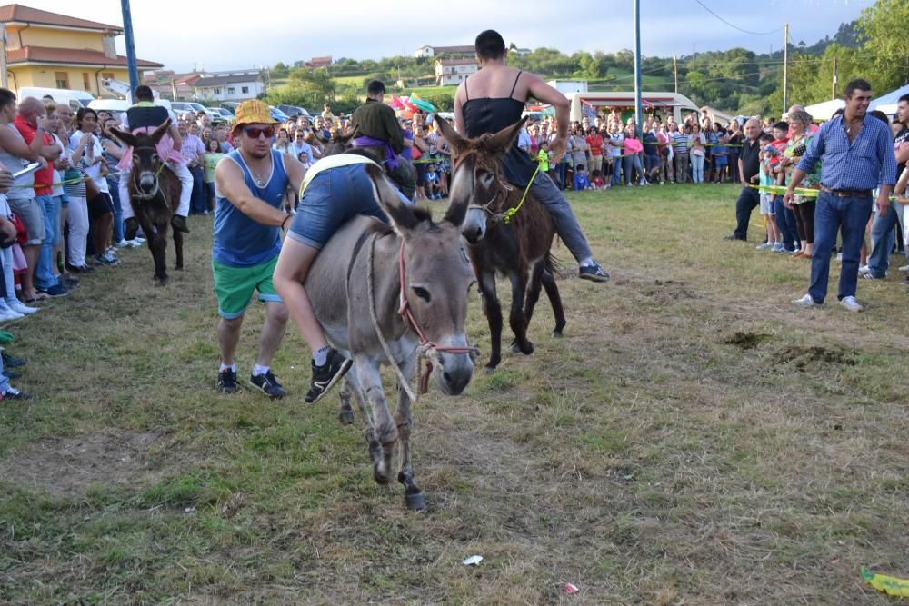 Carrera de burros en Pañeda