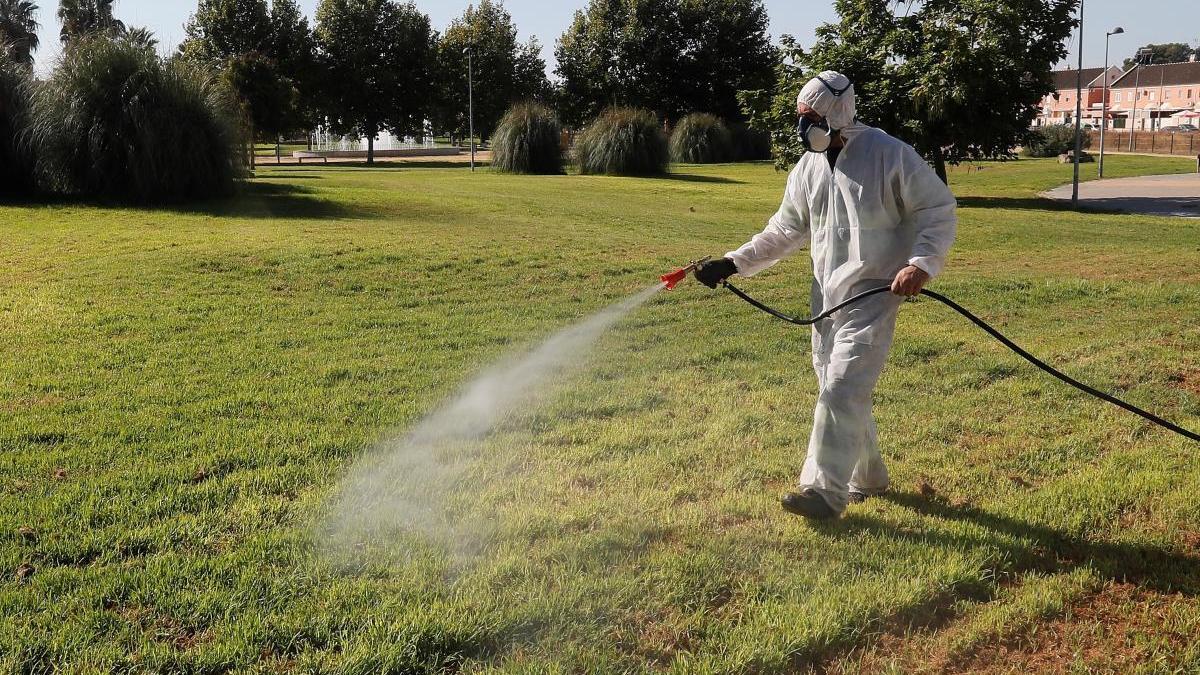 Un operario fumiga en la zona de Coria del Río (Sevilla) en un intento de controlar la expansión del virus del Nilo.