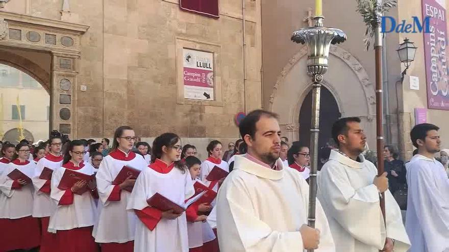 Domingo de Ramos en Palma