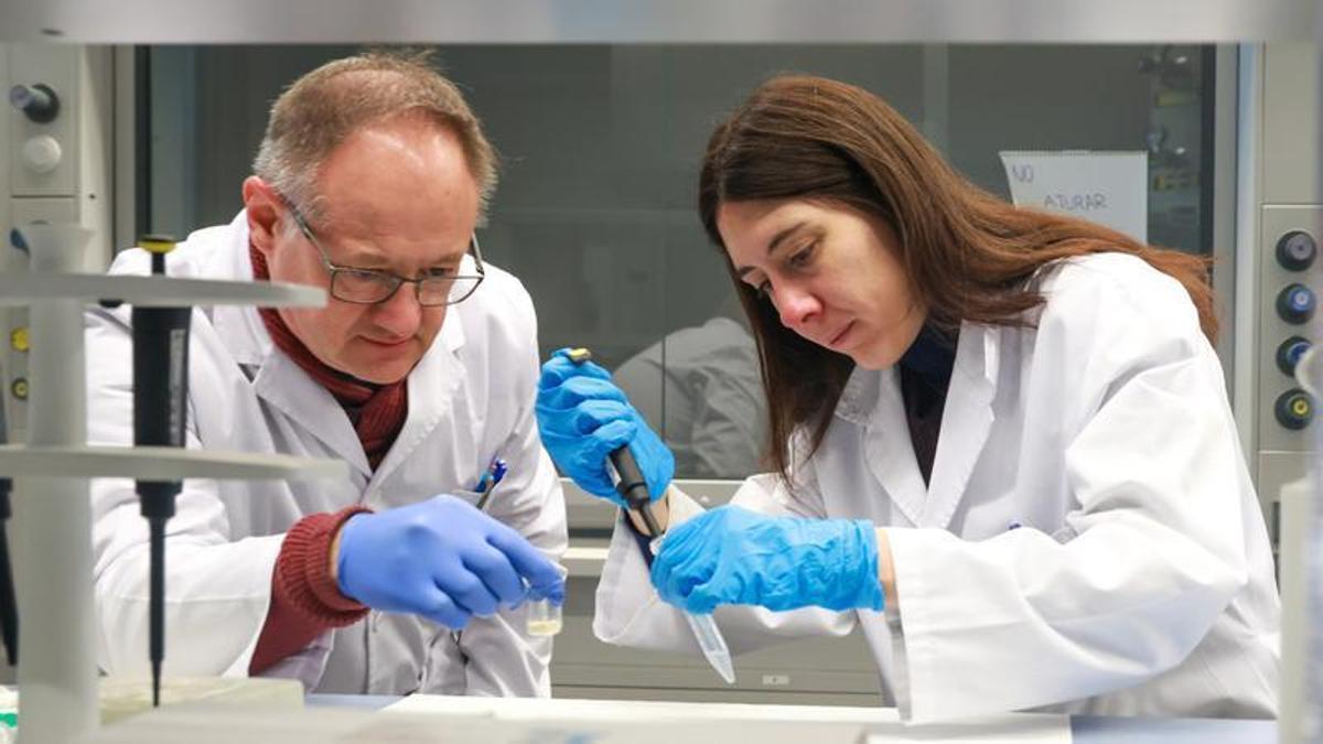 Investigadores trabajando en el laboratorio de la UIB.