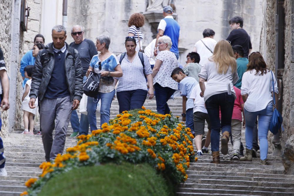 Primer diumenge de Temps de Flors