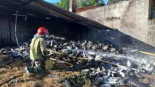 Un incendio destruye un galpón y provoca la muerte de varias cabras en Vilanova de Arousa