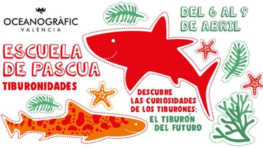 Vuelve la Escuela de Pascua en el Oceanogràfic