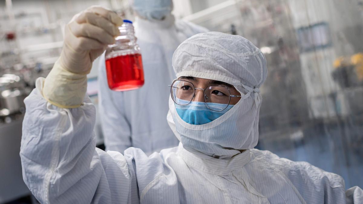 Un científico observa células de riñón de mono en una prueba experimental de la vacuna, en abril de 2020