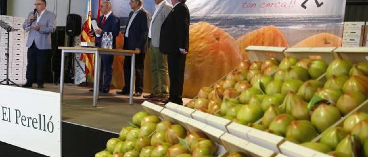 El Perelló aspira a superar el millón de kilos de tomate