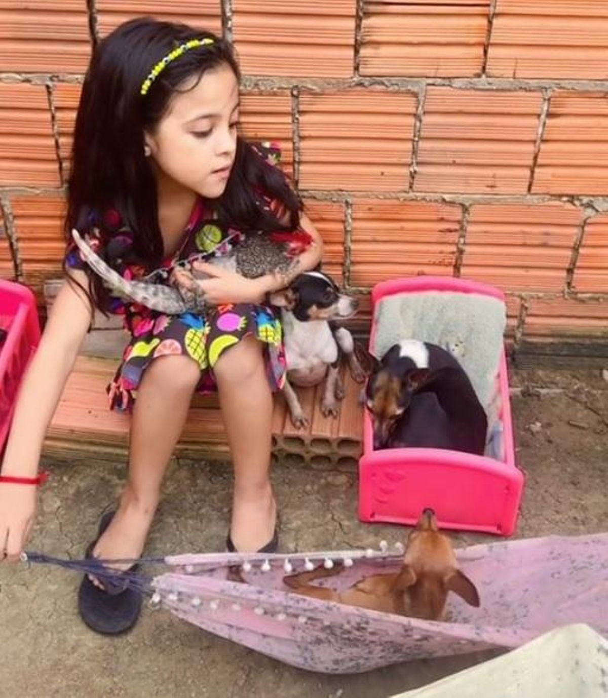 Sophia con una gallina en la mano, y tres perros, uno a su vera, otro en una cuna y el tercero en una hamaca.