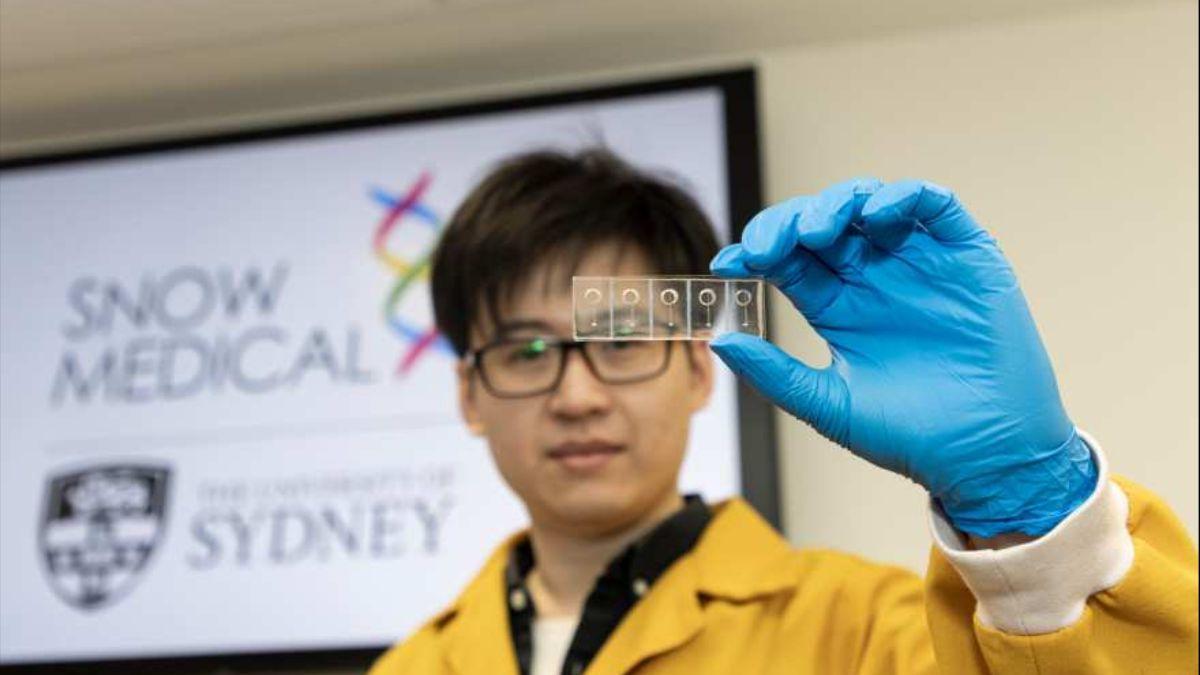 Uno de los científicos examina la "arteria en un chip".