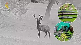 Detenida una persona e investigadas otras nueve por furtivismo en Cáceres tras tres operativos del Seprona