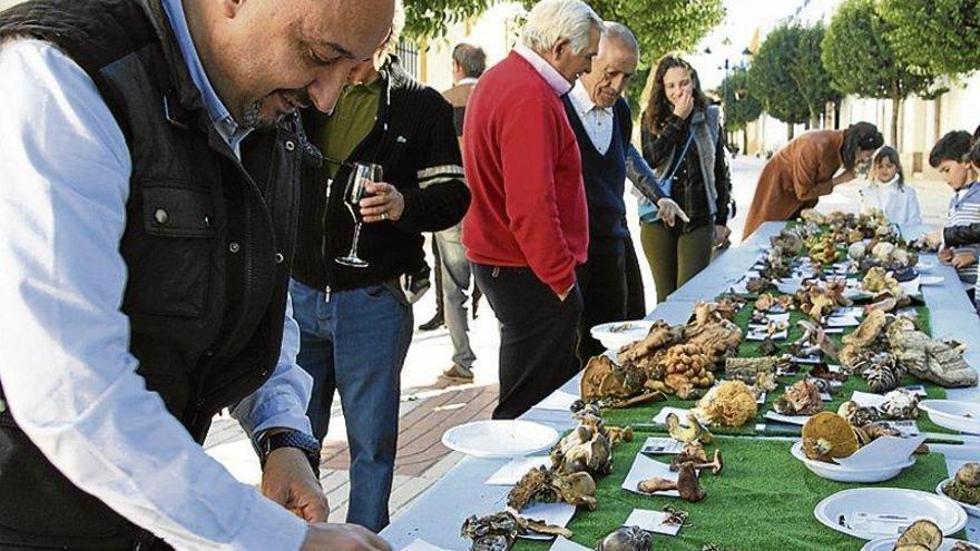 La asociación micológica Pie Azul suspende sus actividades más multitudinarias