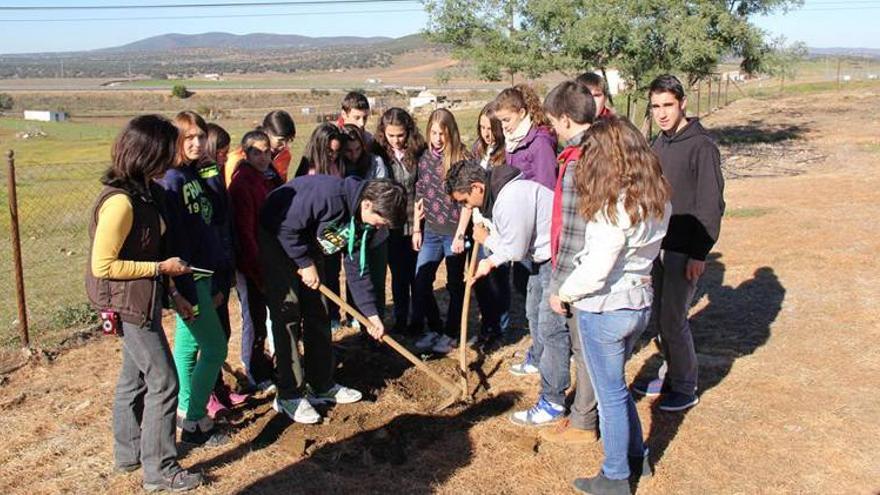 Aprendiendo con plantas