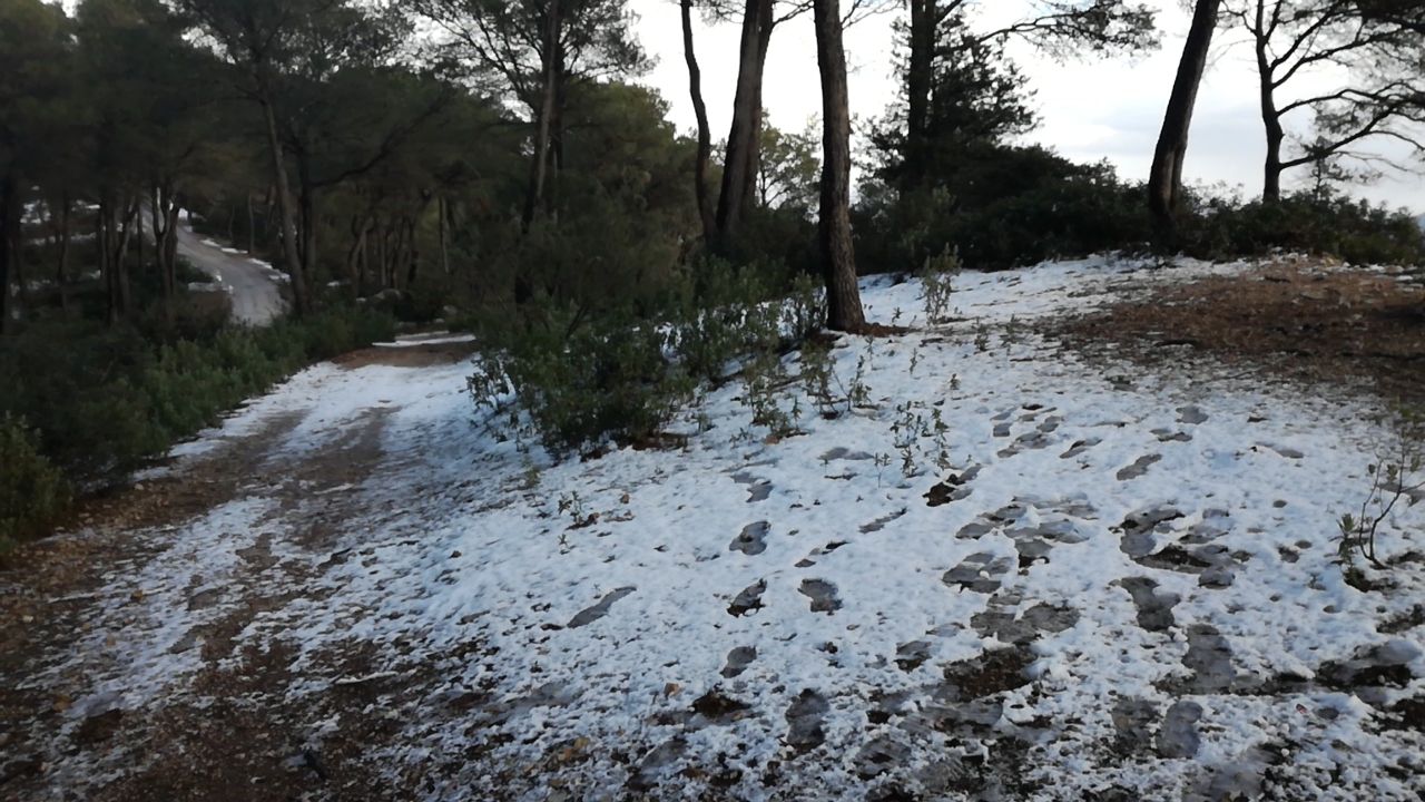 Bajada de temperaturas en Ibiza: Una manta de granizo cubre varias zonas de la isla