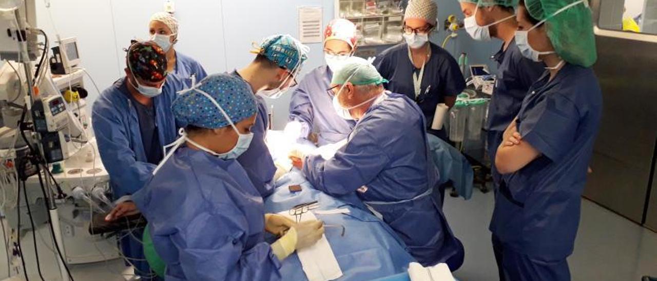 U n equipo médico de un hospital valenciano realiza una intervención quirúrgica, en una imagen de archivo. | LEVANTE-EMV