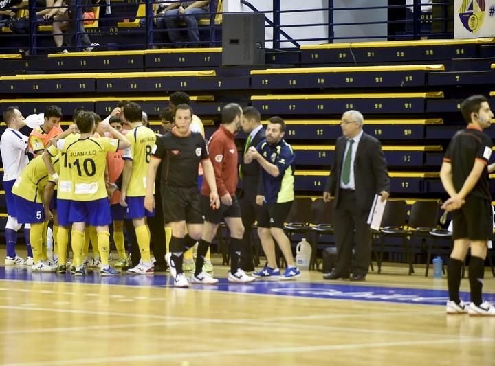 El Gran Canaria de Fútbol Sala se garantiza la permanencia