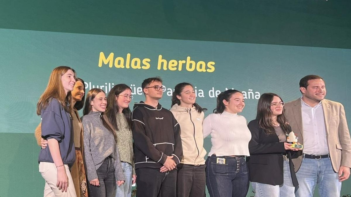 VIII Premios Provinciais á Xuventude, Deputación de Pontevedra.