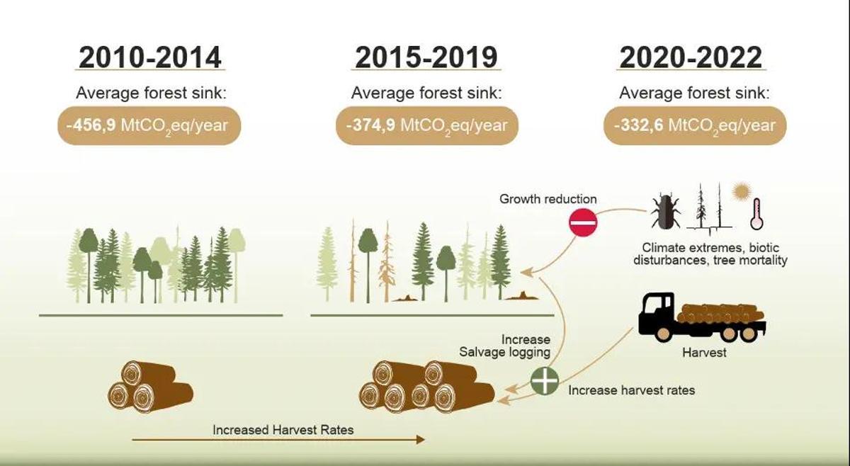Reducción de la captura de CO2 por los bosques desde 2010 a 2022