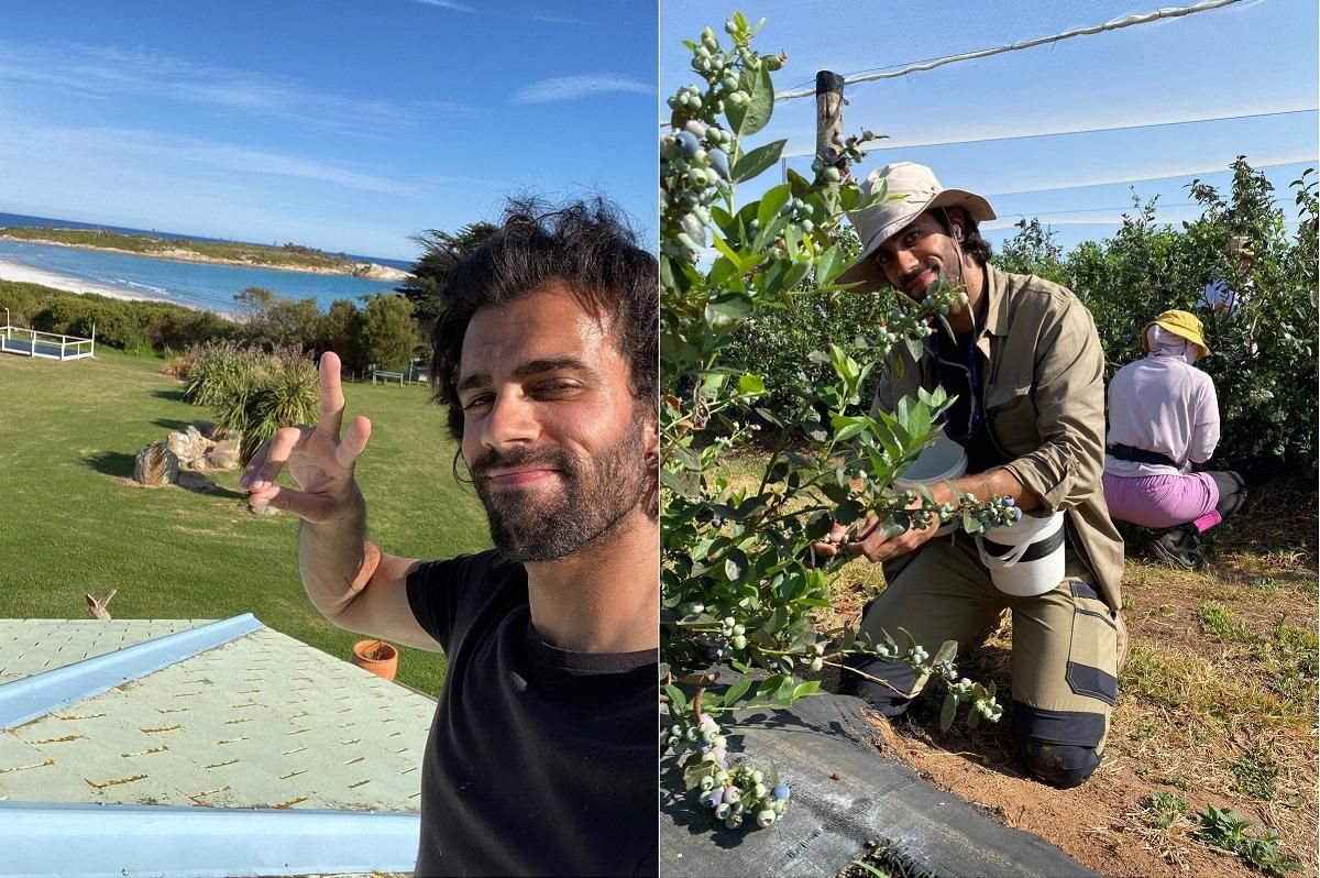 El vigués Pedro Veiga, en Tasmania y un campo de arándanos