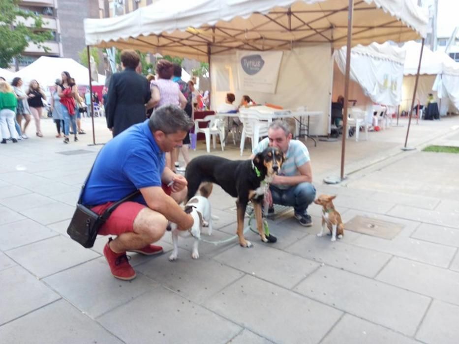 La protectora APAX en Xirivella al Carrer.