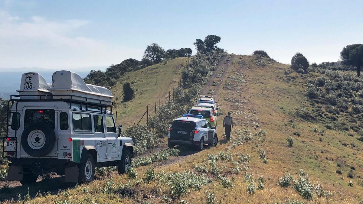 Guardia Civil, Infoca y Protección Civil participan en la búsqueda.