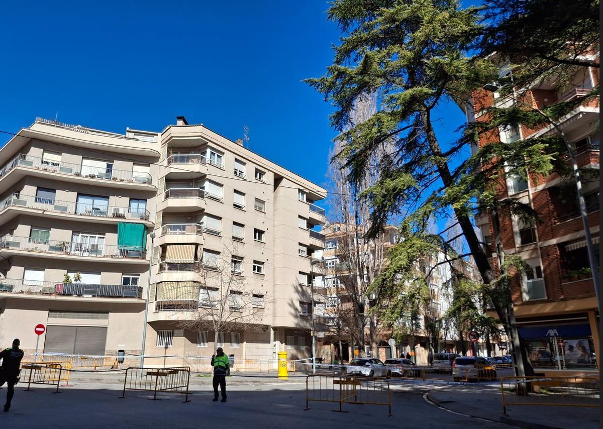 L'arbre està molt inclinat i l'escocell s'ha esquerdat