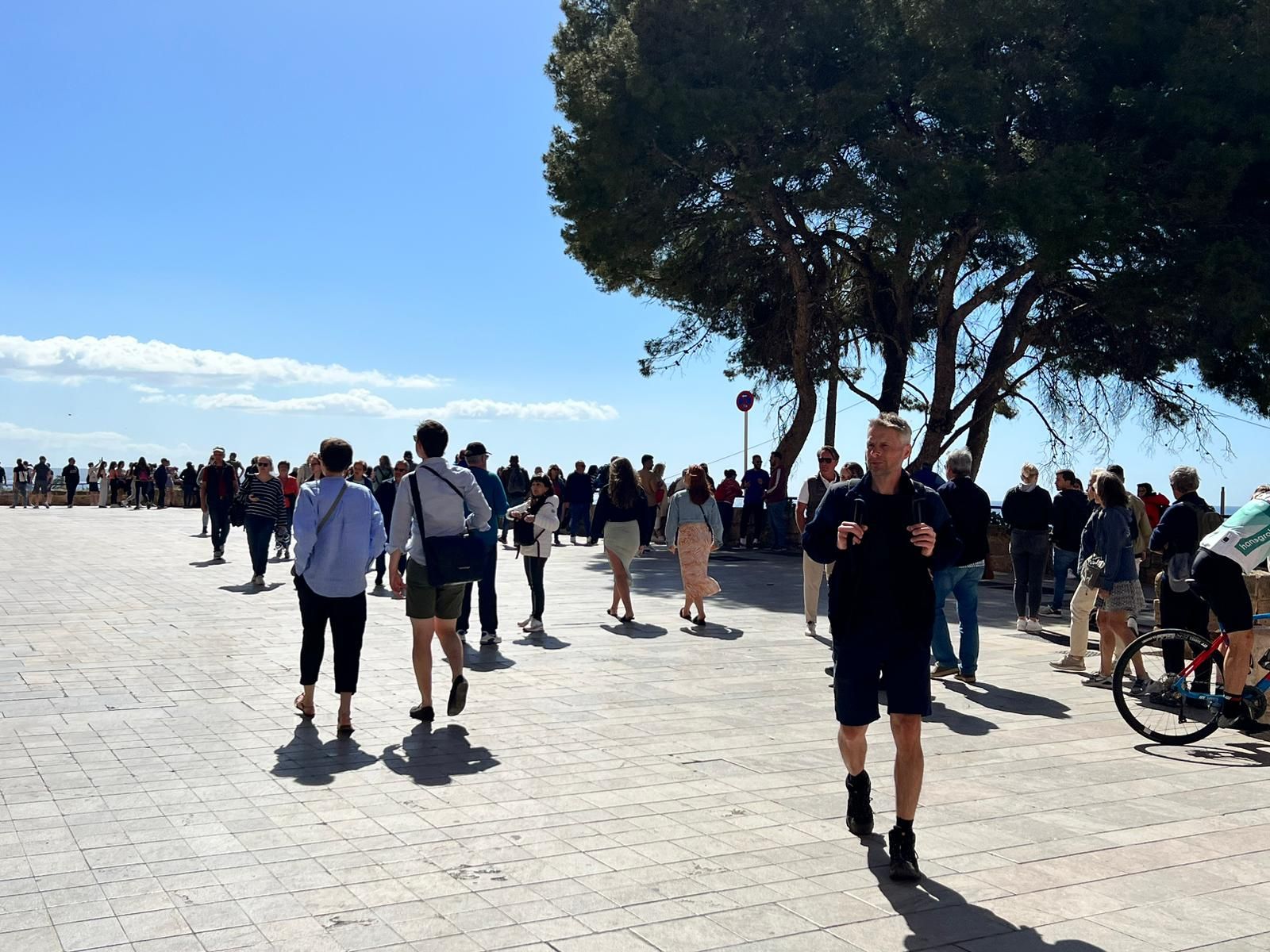 Las fotos del desembarco de cruceristas que han saturado el centro de Palma