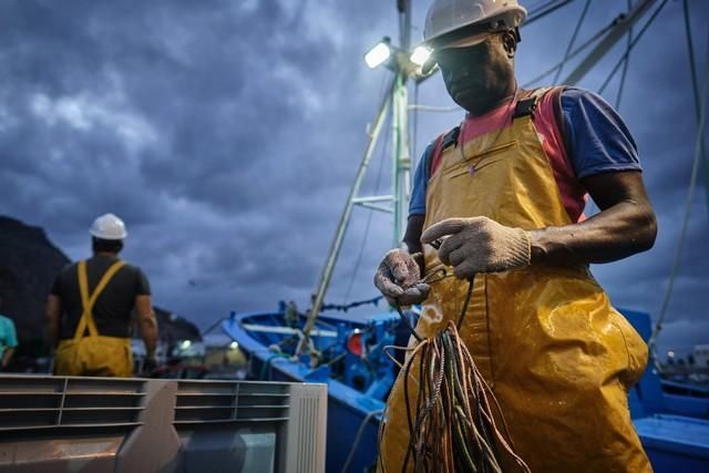 Descarga de atún en el puerto de Santa Cruz