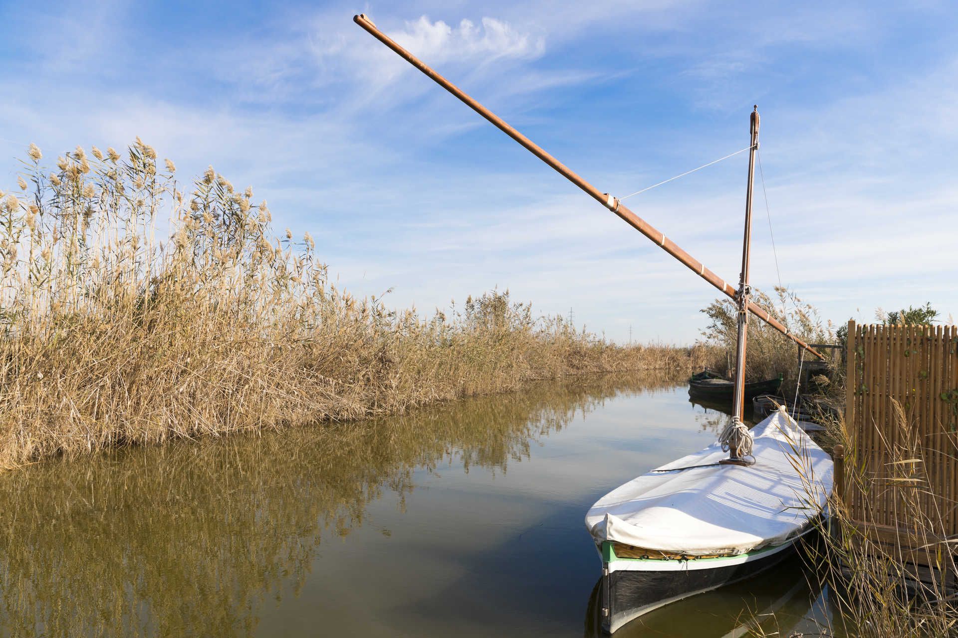 Parque natural de l'Albufera