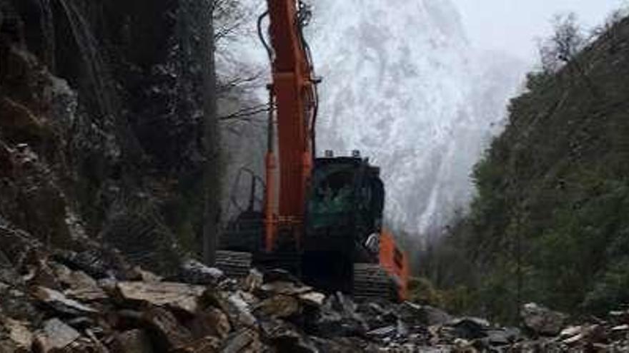 Pala trabajando en la carretera de Oseja.