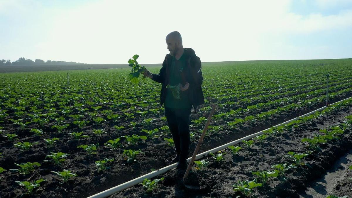 El delegado de desarrollo Miguel Ángel Martínez ante los resultados de un cultivo tratado con Trika Lambda 4.