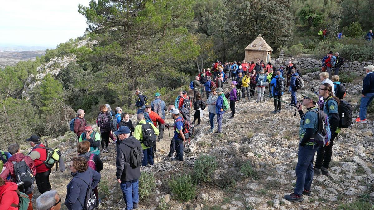 Participantes en la marcha intercomarcal de Bocairent.