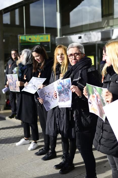 Protesta en A Coruña contra la caza de zorros