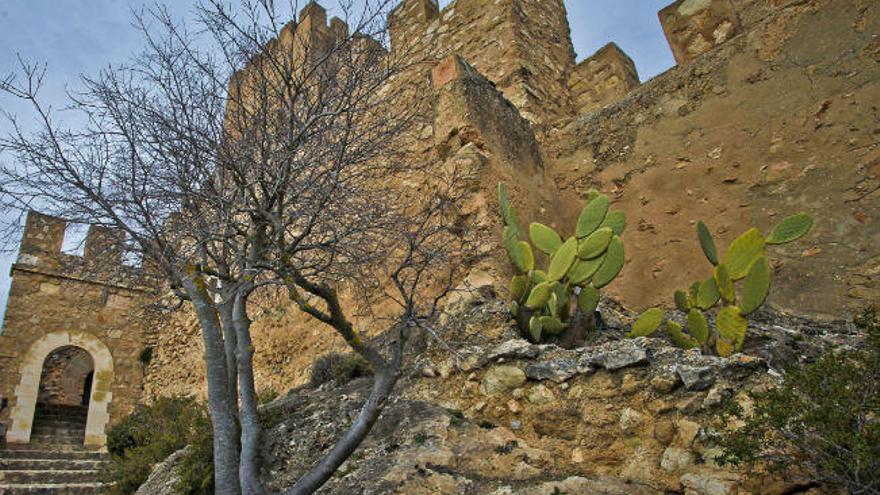 Castillo de Banyeres de Mariola, una fortaleza testigo de la historia