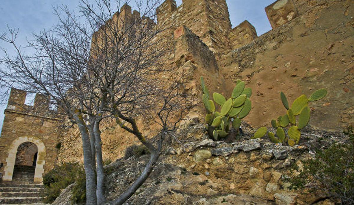 Castillo de Banyeres de Mariola, una fortaleza testigo de la historia