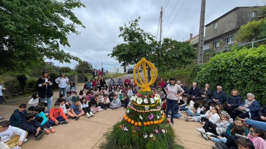 Maio de Afamo en Meiro