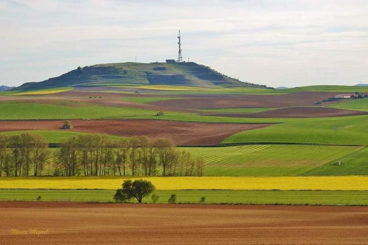 Castro de El Viso