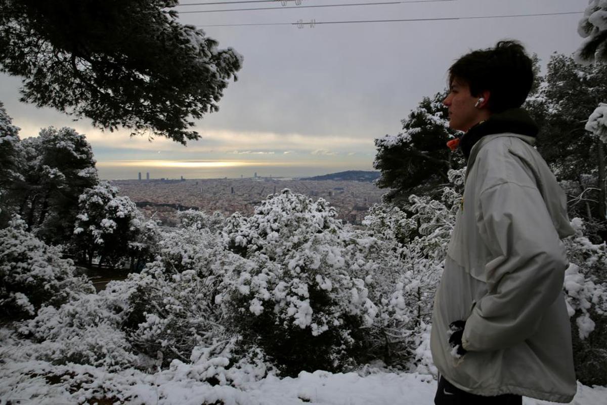 La nieve llega a Barcelona: Collserola, cubierta de blanco