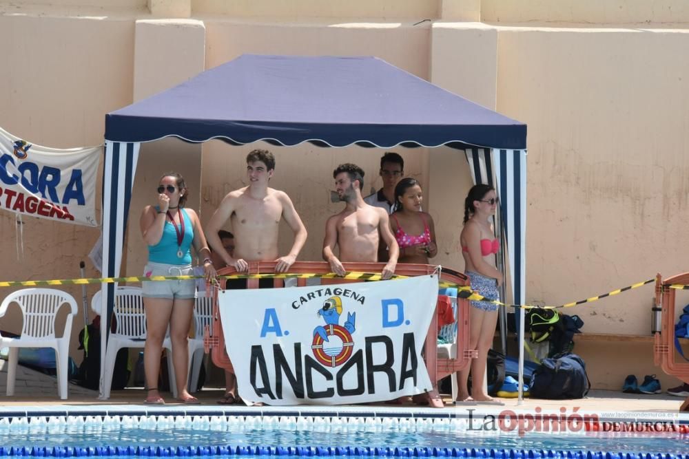 Final del Campeonato regional de natación.