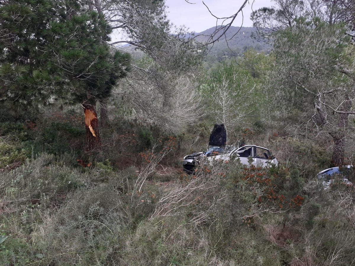 El coche se salió de la carretera, cayó por una pendiente y se estrelló contra un árbol.