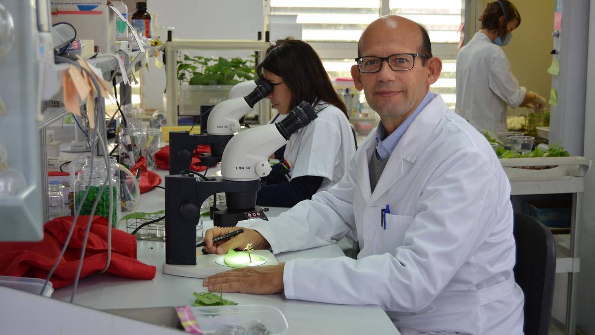 Pablo Bielza, investigador responsable del proyecto que ha recibido mayor financiación, en su laboratorio.