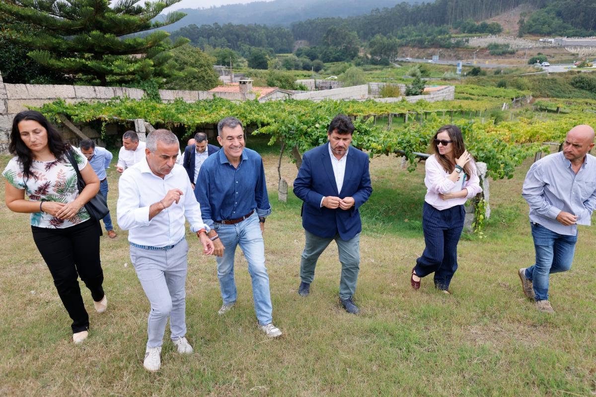 El recorrido por los viñedos.