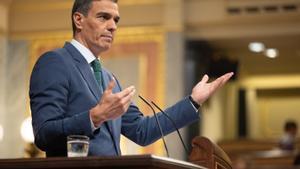 El presidente del Gobierno, Pedro Sánchez, durante su intervención este miércoles en el Congreso. 